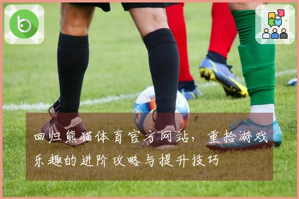 回归熊猫体育官方网站，重拾游戏乐趣的进阶攻略与提升技巧