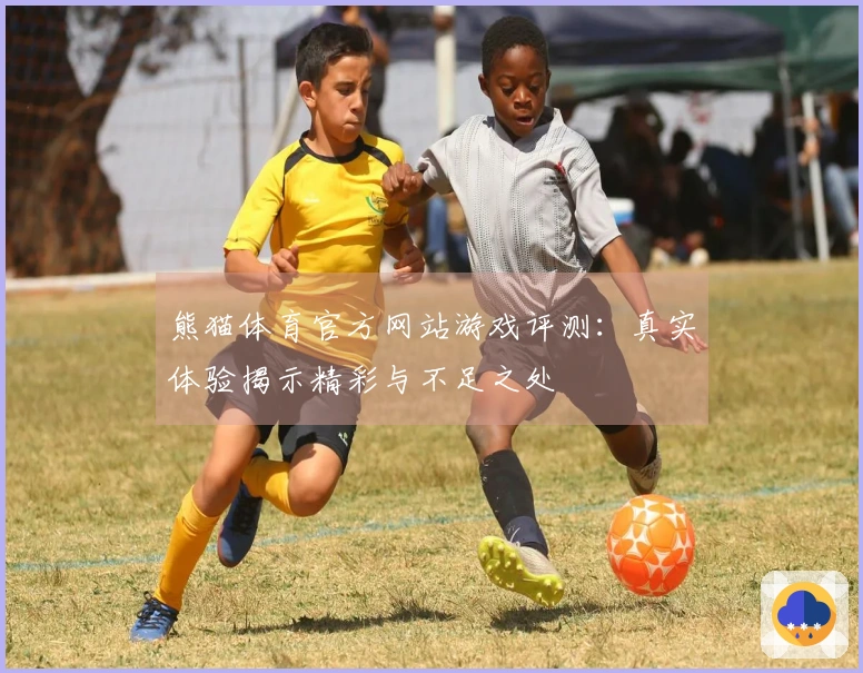 熊猫体育官方网站游戏评测：真实体验揭示精彩与不足之处