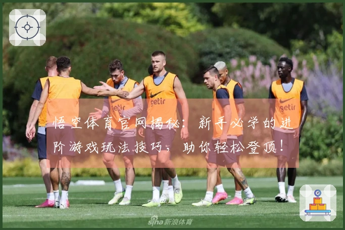 悟空体育官网揭秘：新手必学的进阶游戏玩法技巧，助你轻松登顶！