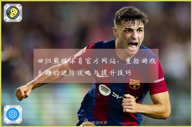 回归熊猫体育官方网站，重拾游戏乐趣的进阶攻略与提升技巧